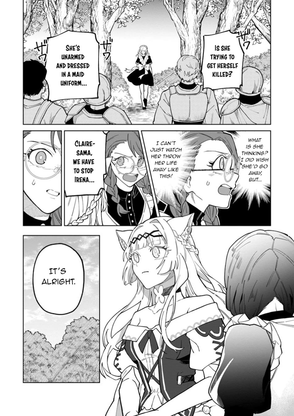 The White Mage Who Was Banished from the Hero's Party is Picked Up by an S Rank Adventurer~ This White Mage is too out of the Ordinary! chapter 43 page 14