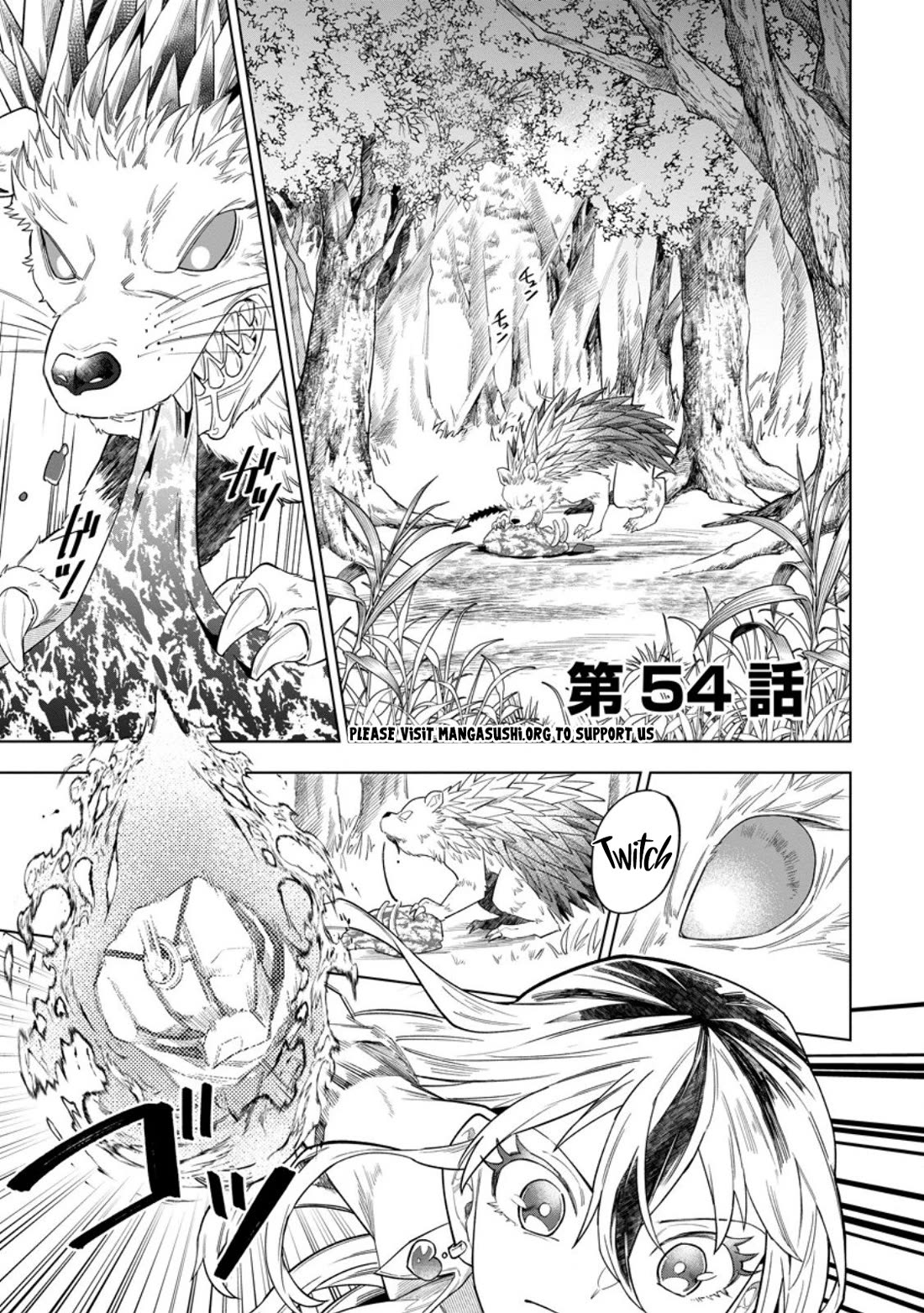 The White Mage Who Was Banished from the Hero's Party is Picked Up by an S Rank Adventurer~ This White Mage is too out of the Ordinary! chapter 54 page 2