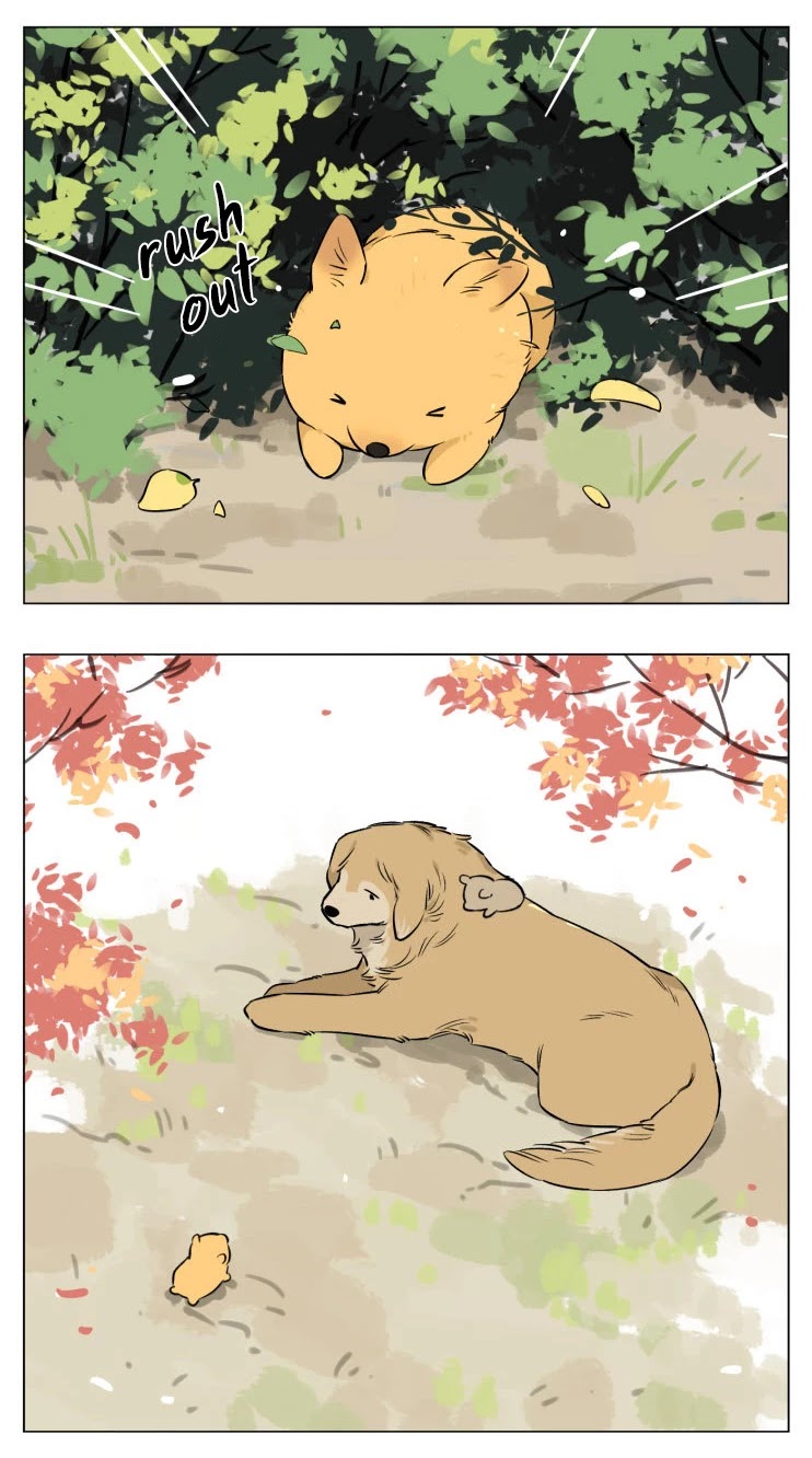 The Wolf That Picked Something Up chapter 13 page 19