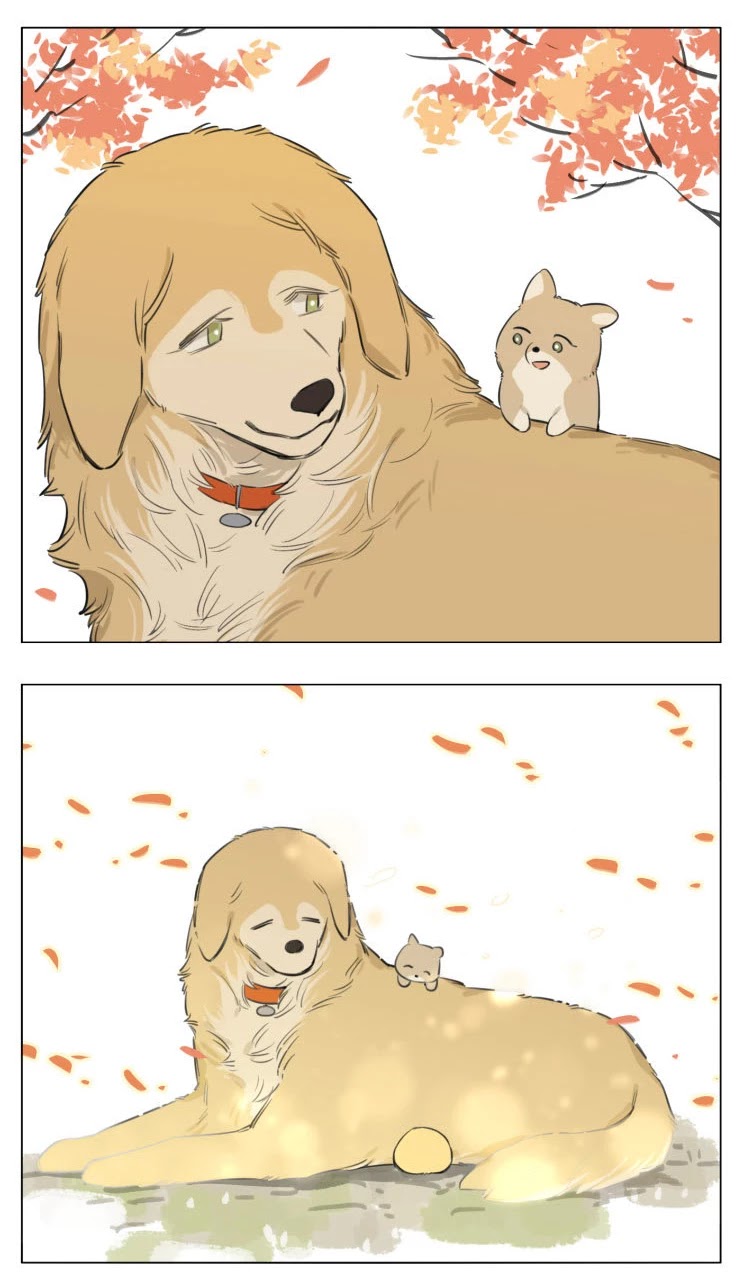 The Wolf That Picked Something Up chapter 13 page 21