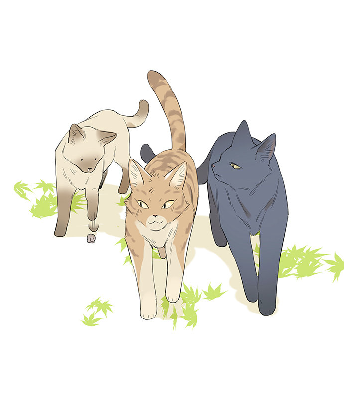 The Wolf That Picked Something Up chapter 34 page 2