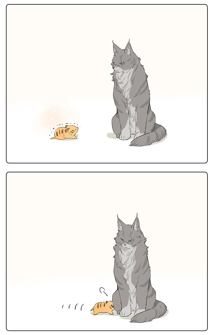 The Wolf That Picked Something Up chapter 34 page 5