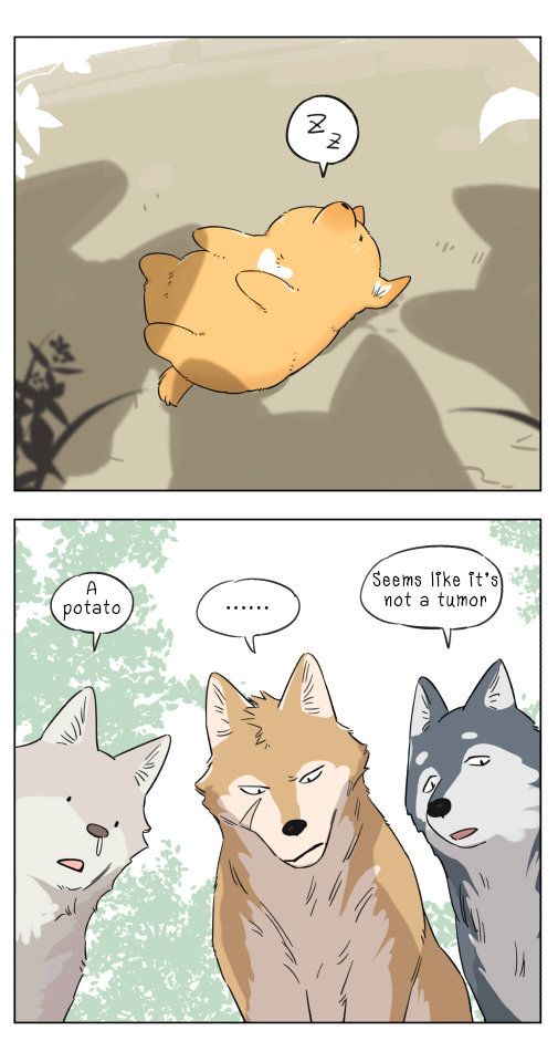 The Wolf That Picked Something Up chapter 4 page 5