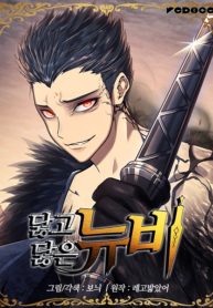 Cover of The Worn and Torn Newbie