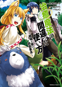 Cover of The Wrong Way to use Healing Magic