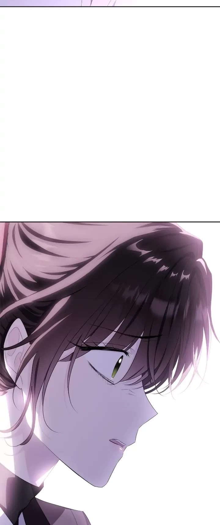 The Young Lady I Served Became a Young Master chapter 105 page 47