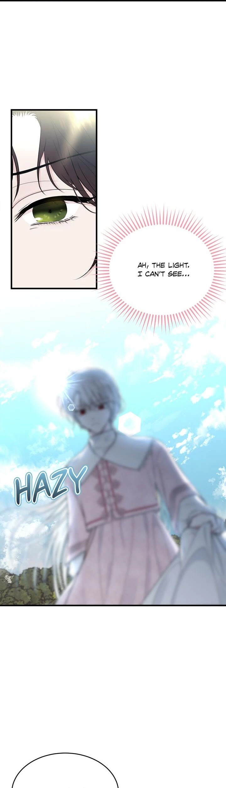 The Young Lady I Served Became a Young Master chapter 33 page 12