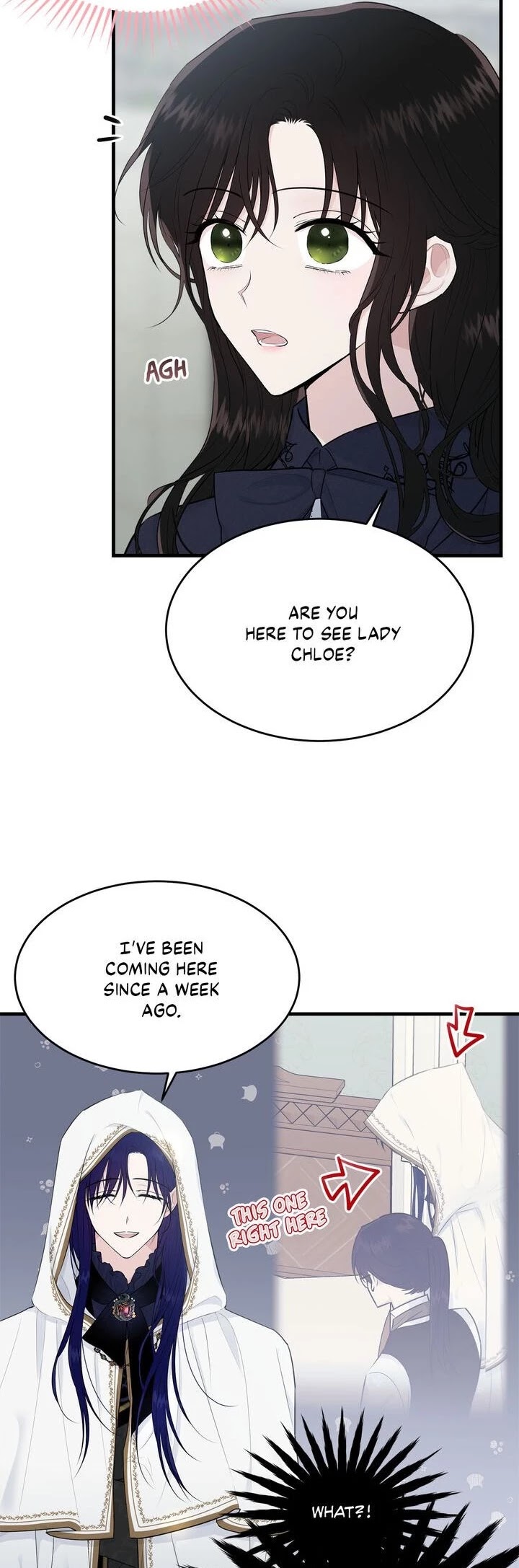 The Young Lady I Served Became a Young Master chapter 37 page 5