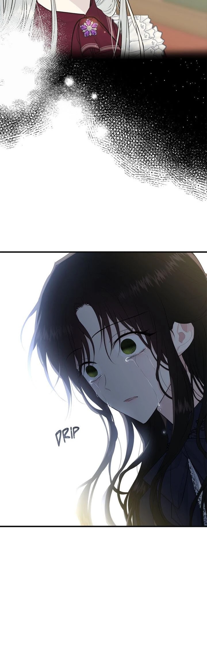 The Young Lady I Served Became a Young Master chapter 38 page 11