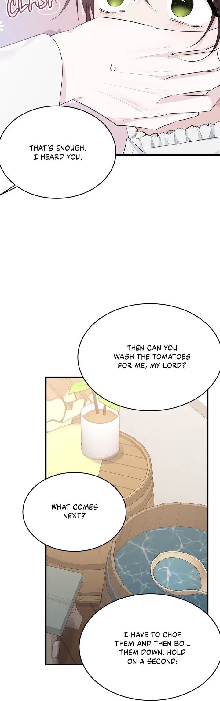 The Young Lady I Served Became a Young Master chapter 45 page 27