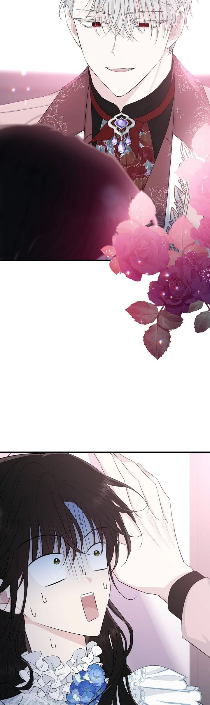 The Young Lady I Served Became a Young Master chapter 63 page 29