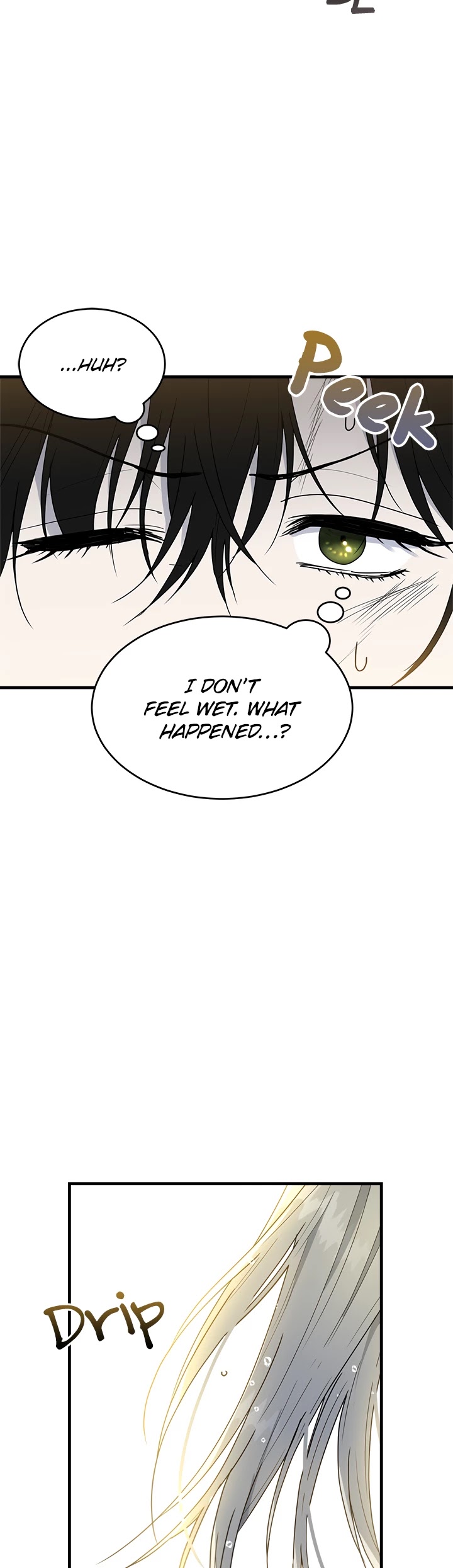 The Young Lady I Served Became a Young Master chapter 7 page 30