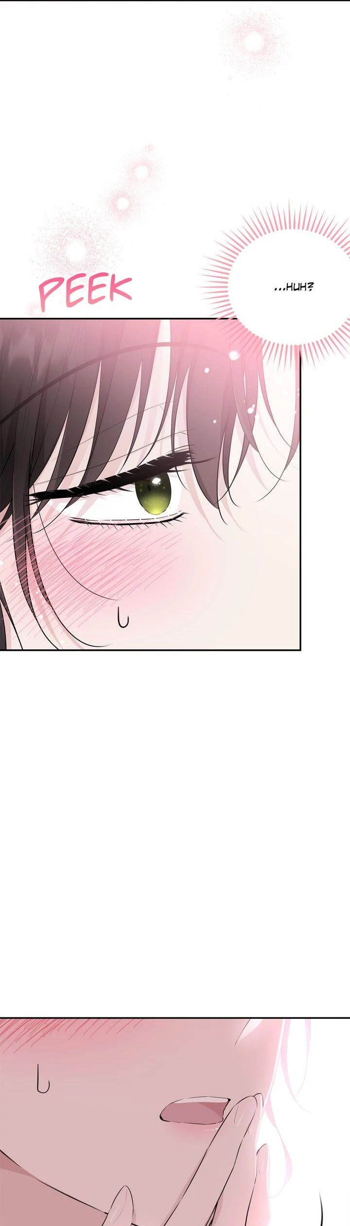 The Young Lady I Served Became a Young Master chapter 78 page 4