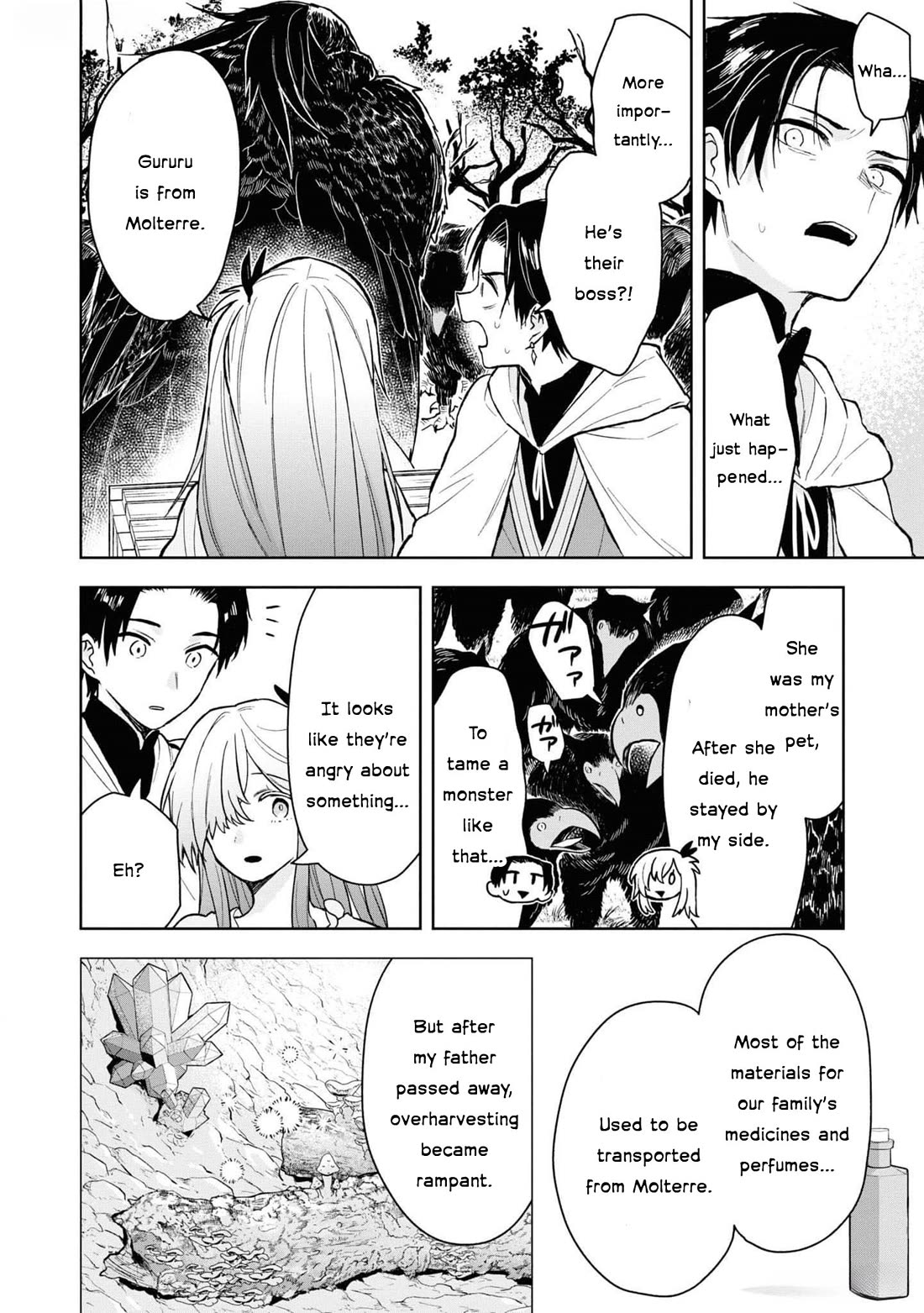 Though I May Be a Villainess, I'll Show You I Can Obtain Happiness! chapter 58 page 35