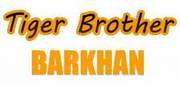 Cover of Tiger Brother - Barkhan