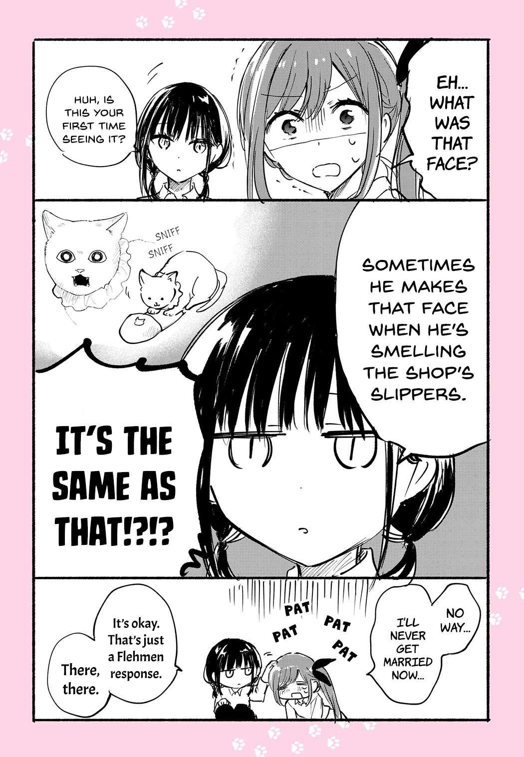 Tonari no Neko to Koi Shirazu chapter 12.4 page 13