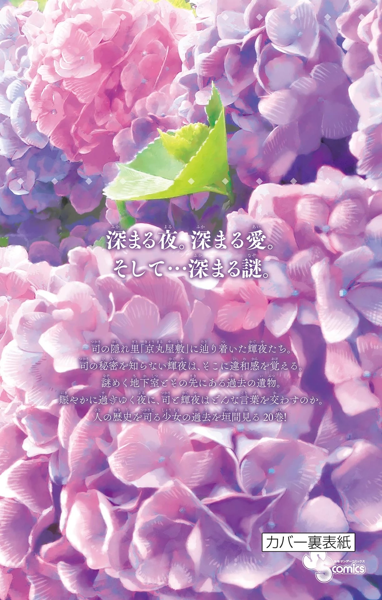 Tonikaku Cawaii chapter 187.5 page 20