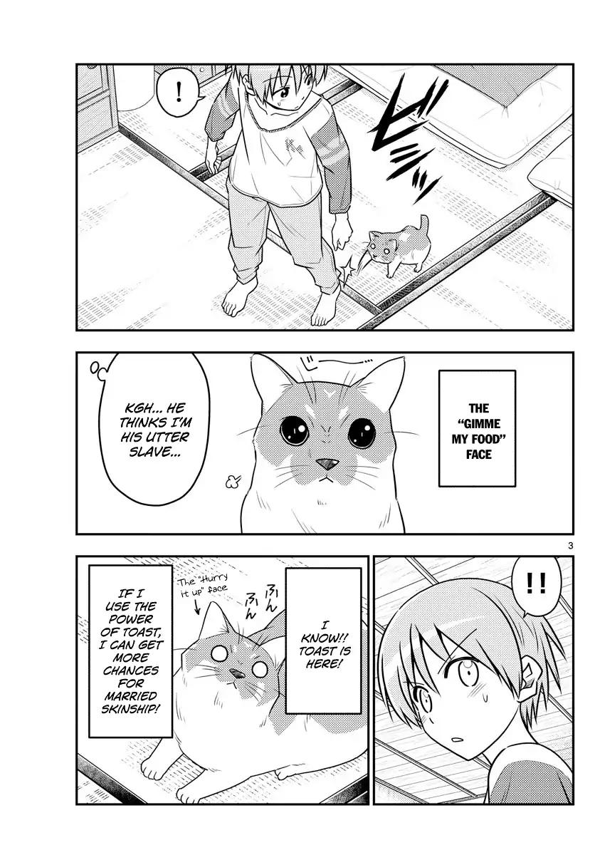 Tonikaku Cawaii chapter 53 page 3