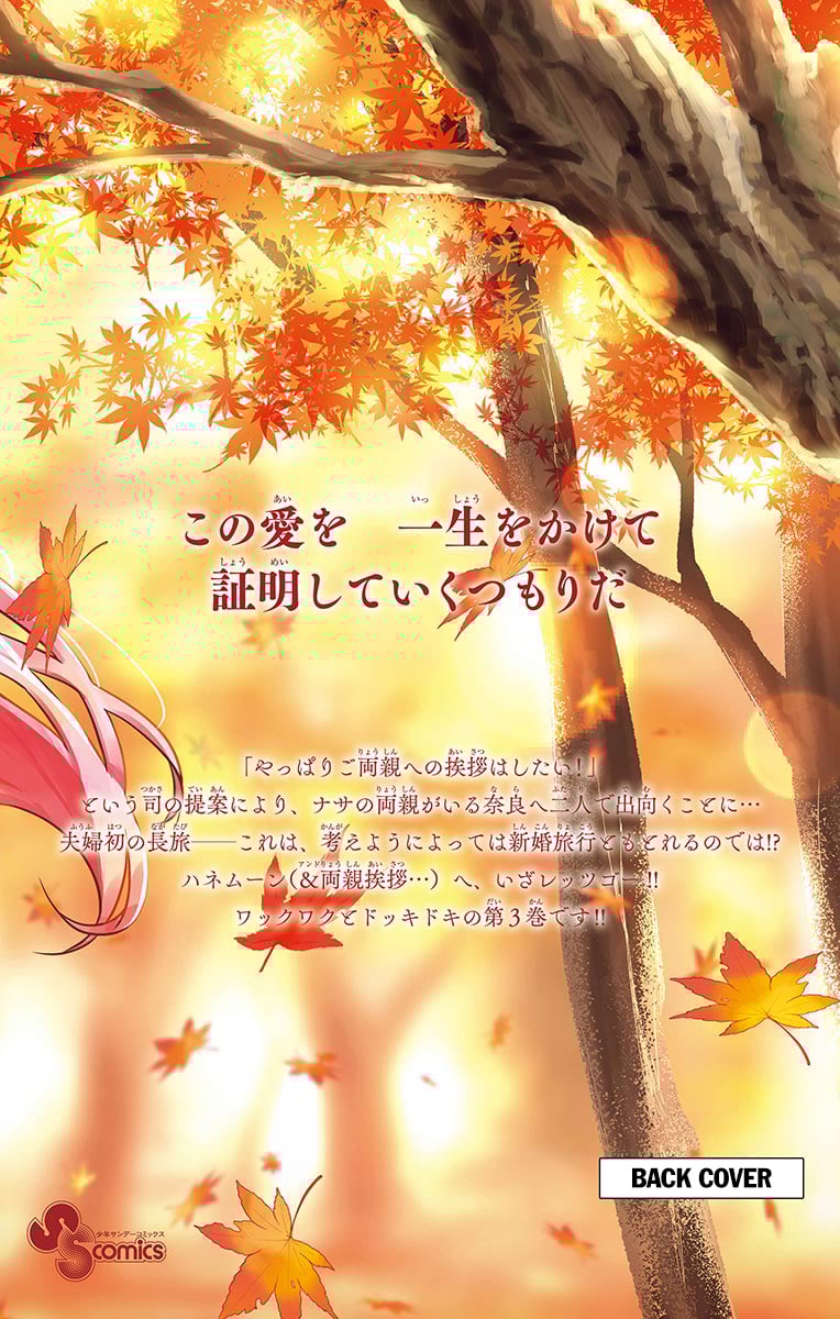 Tonikaku Kawaii chapter 27.5 page 17