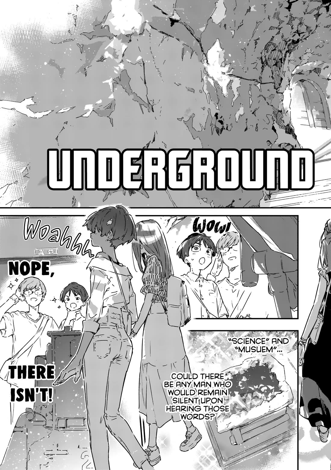 Too Many Losing Heroines! chapter 17 page 8