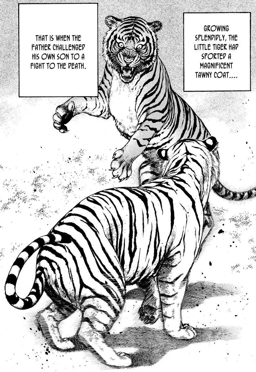 Tough chapter 217 page 5