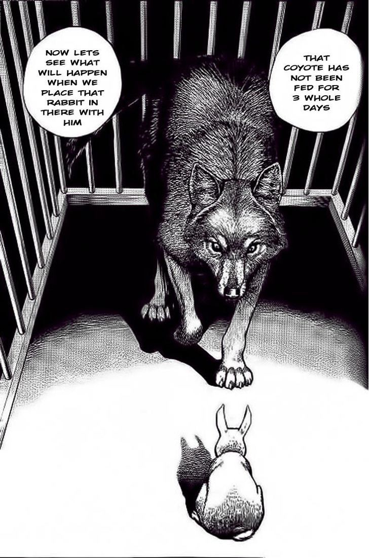 Tough chapter 234 page 11