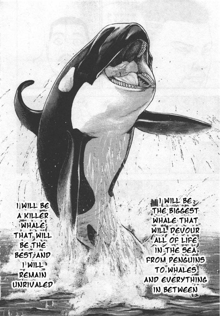 Tough chapter 285 page 16