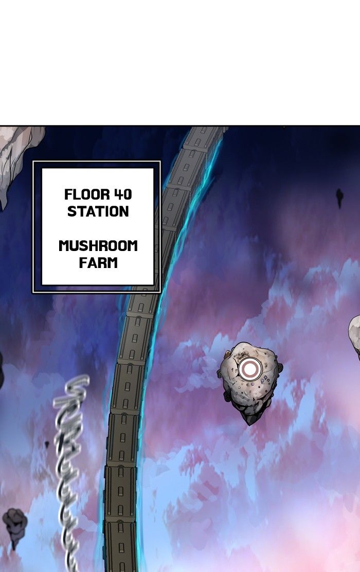 Tower of God chapter 310 page 12