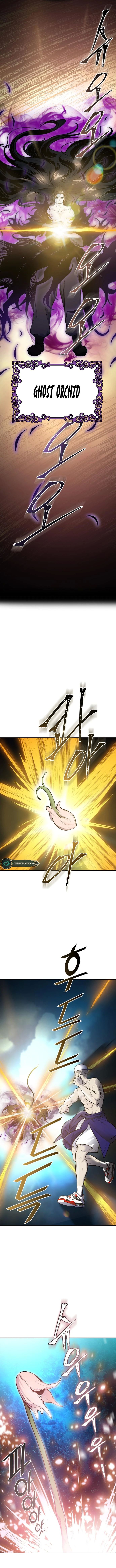 Tower of God chapter 600 page 3