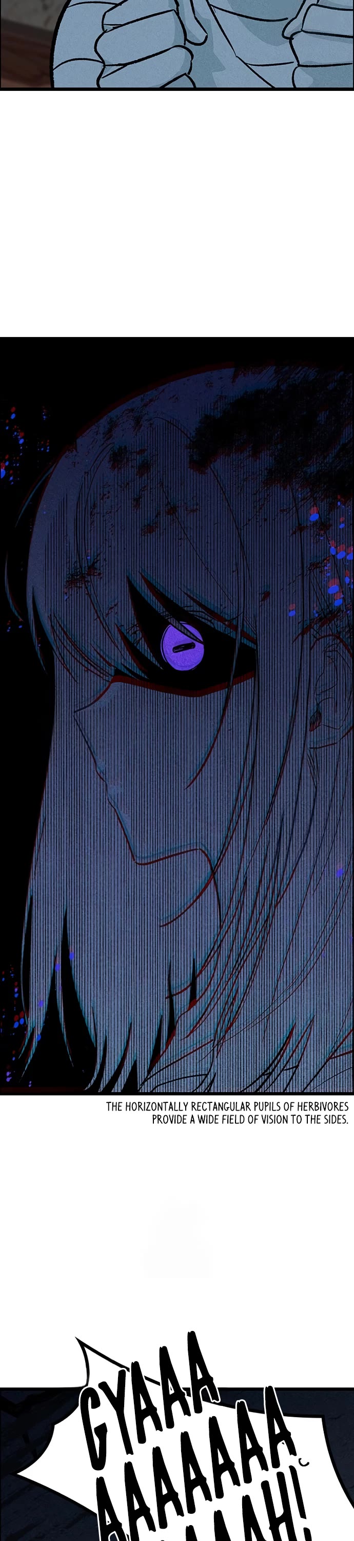 Twelve Zodiac Girls chapter 24 page 19