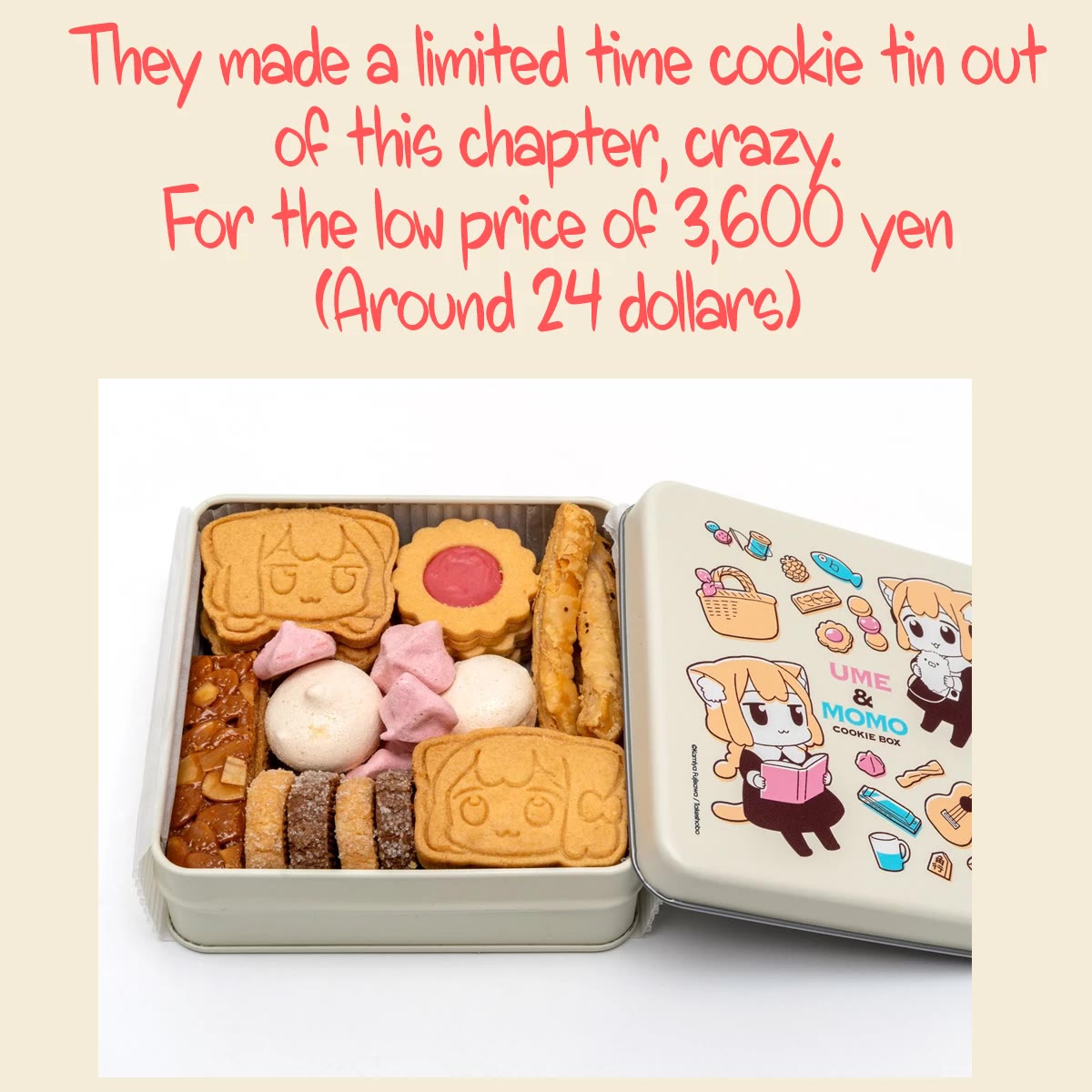 Ume and Momo's Ordinary Life chapter 22.5 page 5