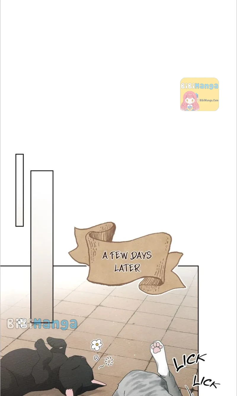 Under the Oak Tree chapter 74 page 45