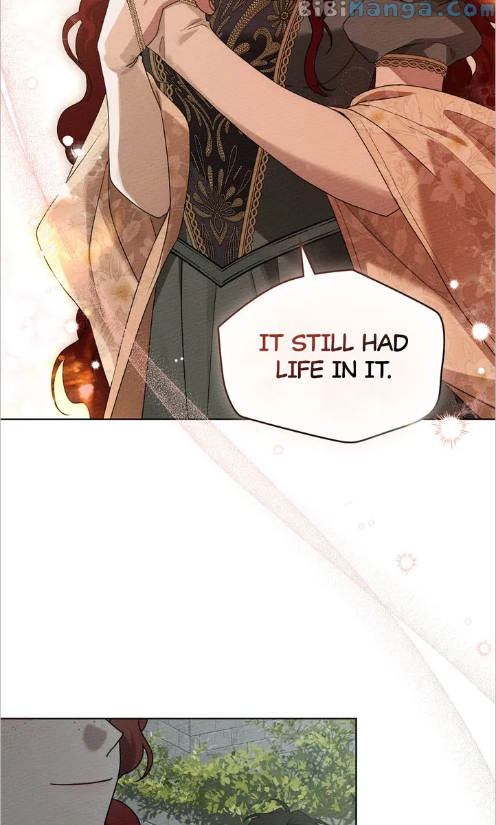 Under the Oak Tree chapter 78 page 41