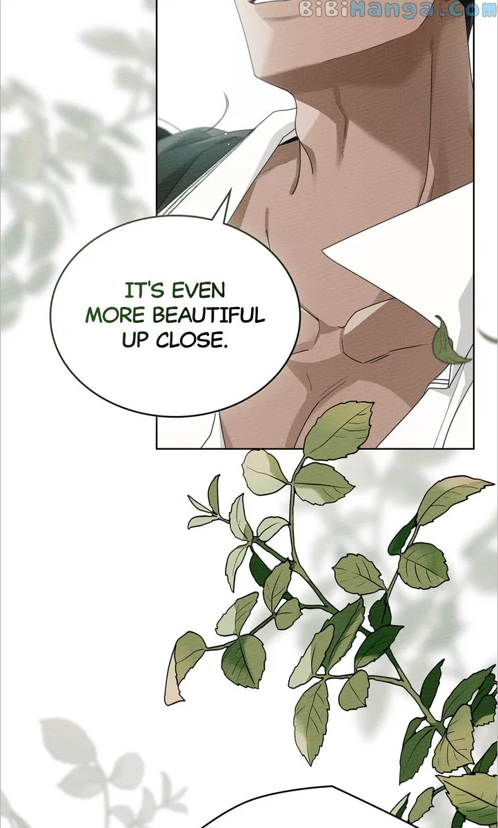 Under the Oak Tree chapter 78 page 48