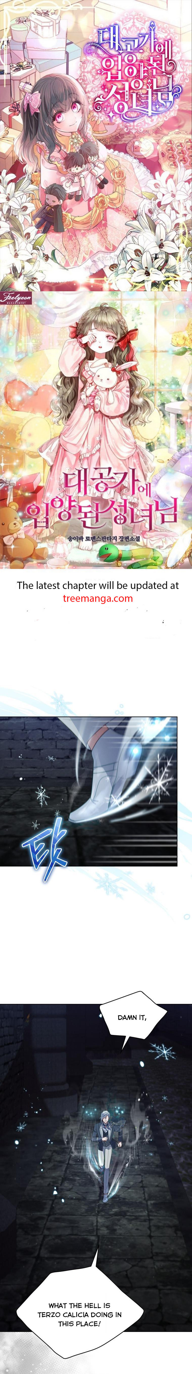 Untouchable Lady chapter 96 page 1