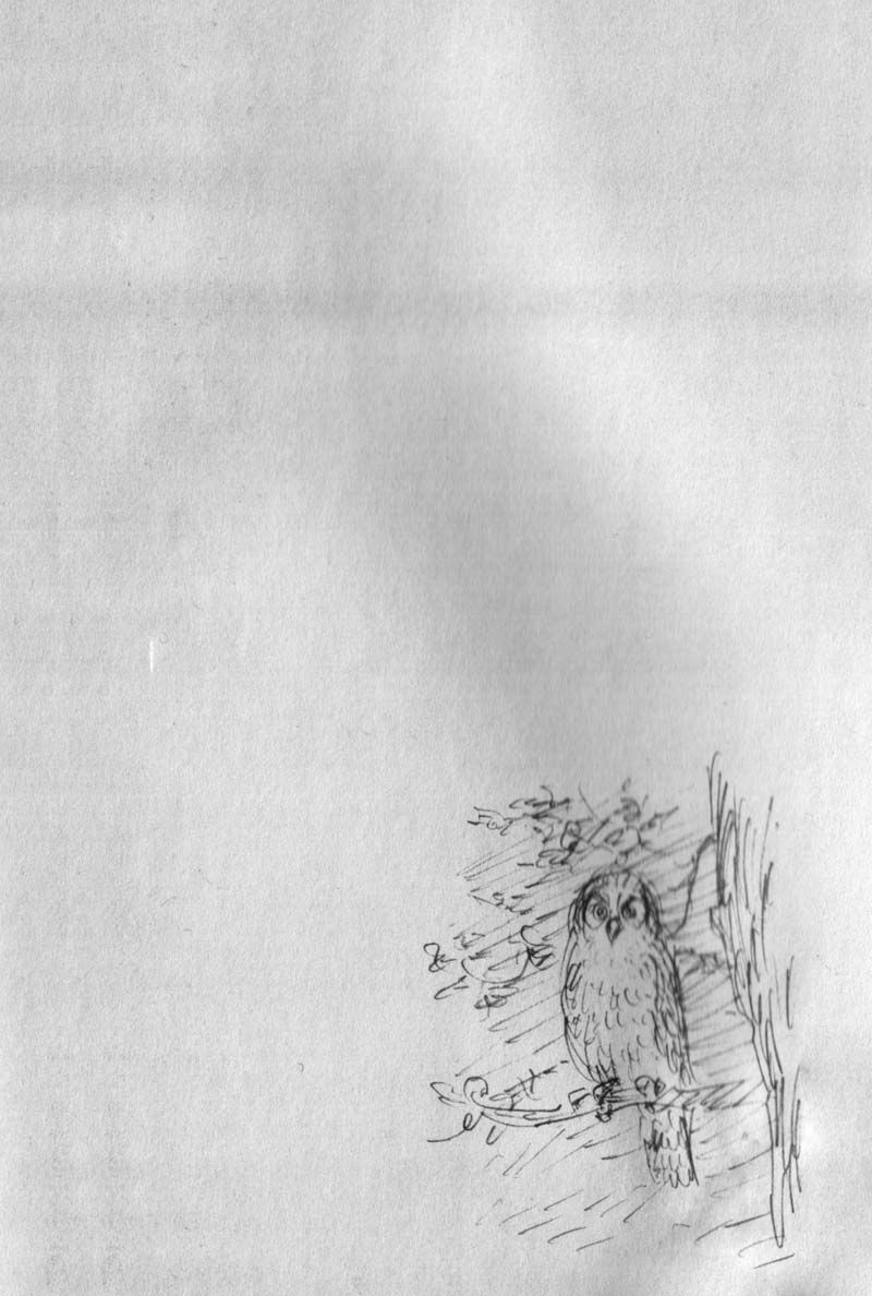 Vagabond chapter 142 page 27