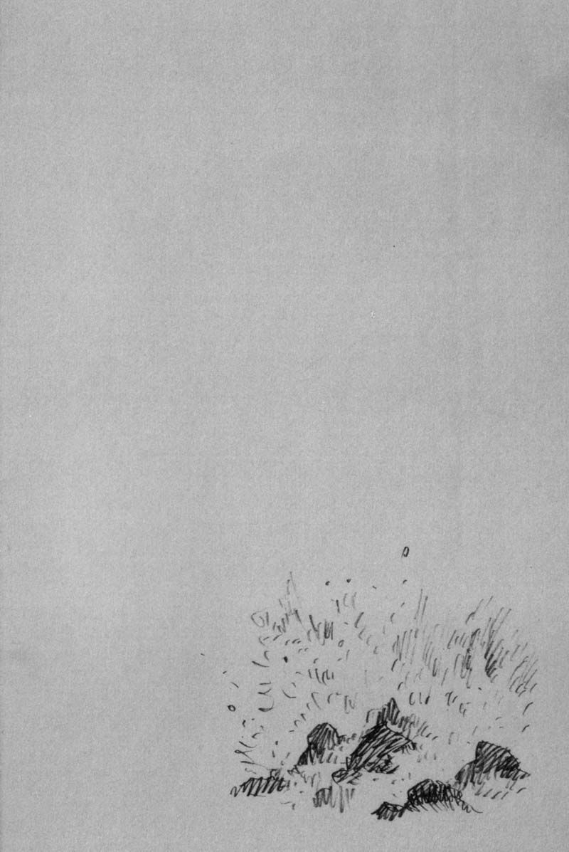 Vagabond chapter 154 page 24