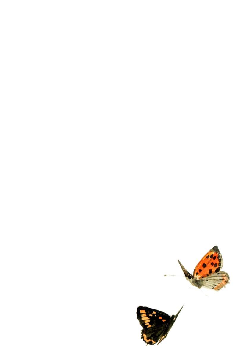 Vagabond chapter 181 page 2