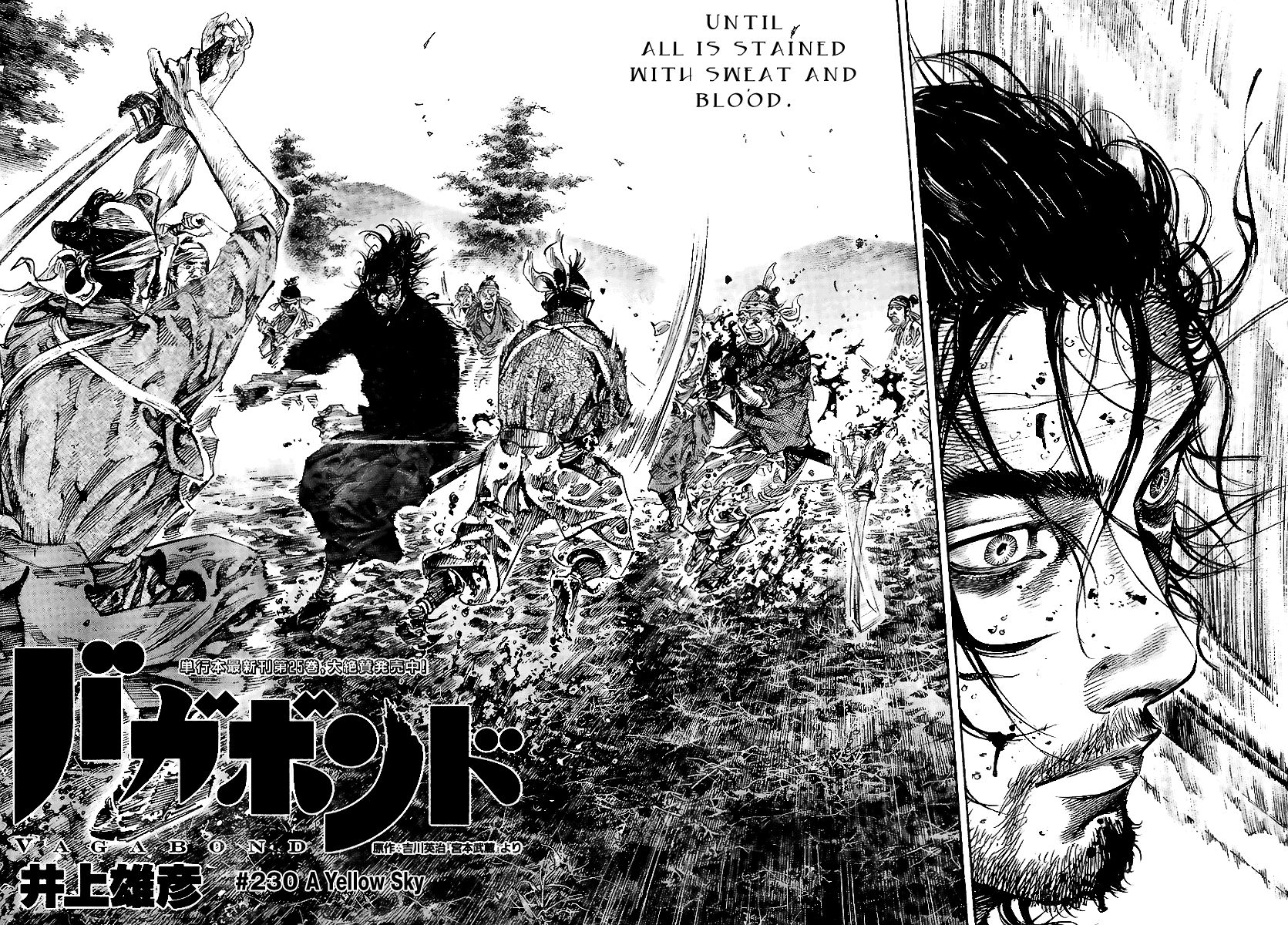 Vagabond chapter 230 page 2