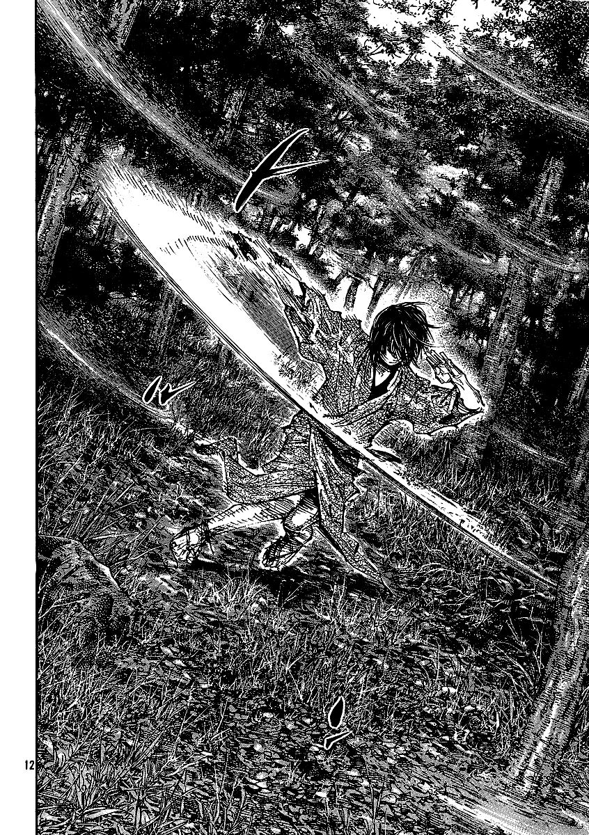 Vagabond chapter 282 page 12