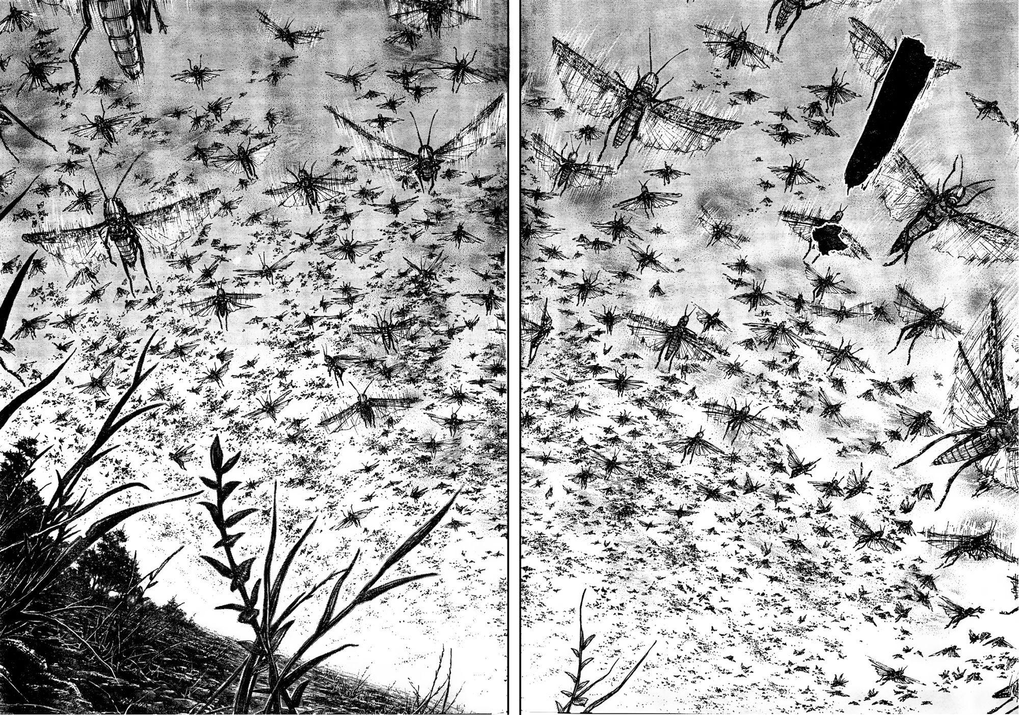 Vagabond chapter 309 page 4