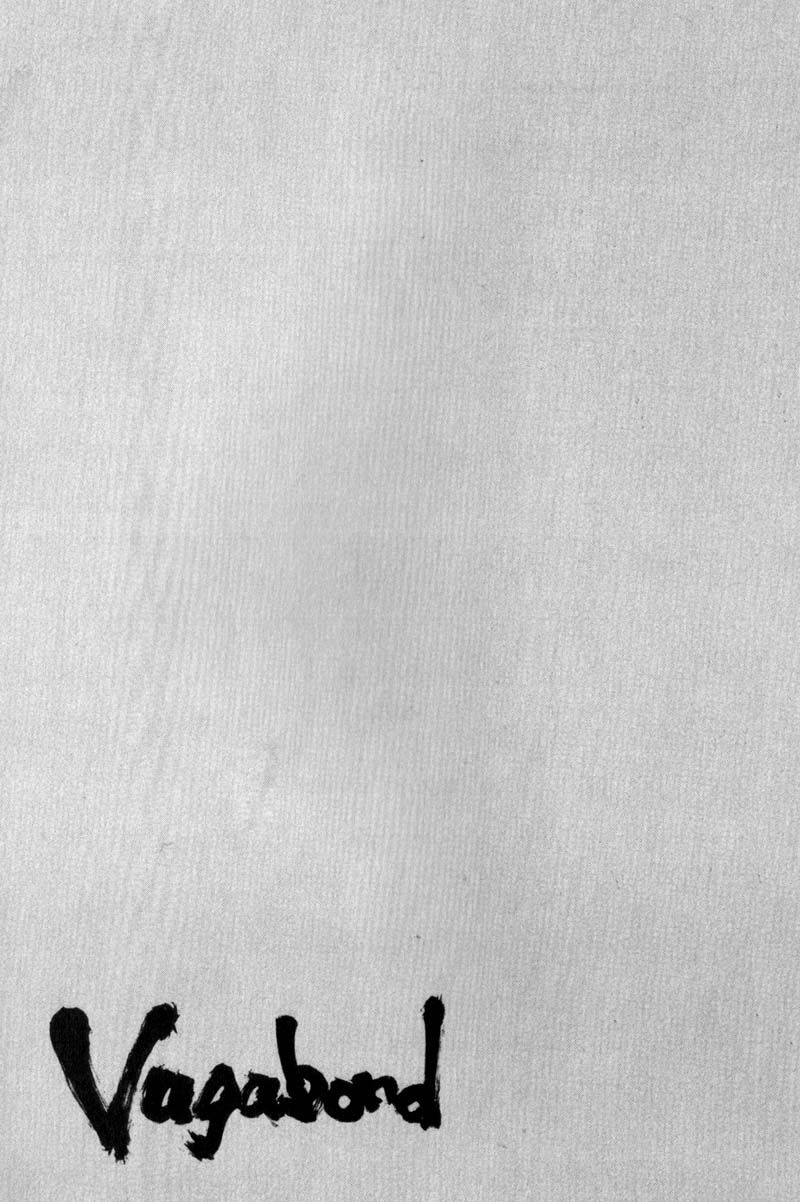 Vagabond chapter 62 page 19