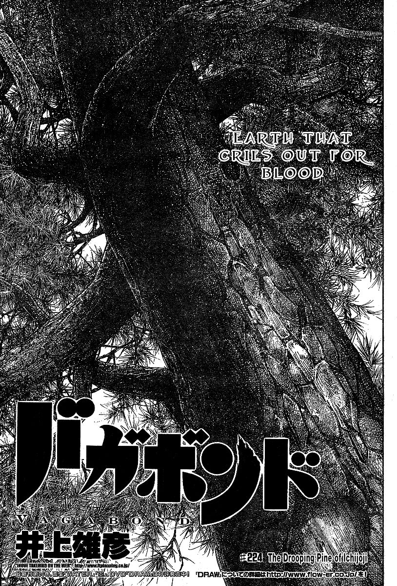 Vagabond chapter 224 page 2