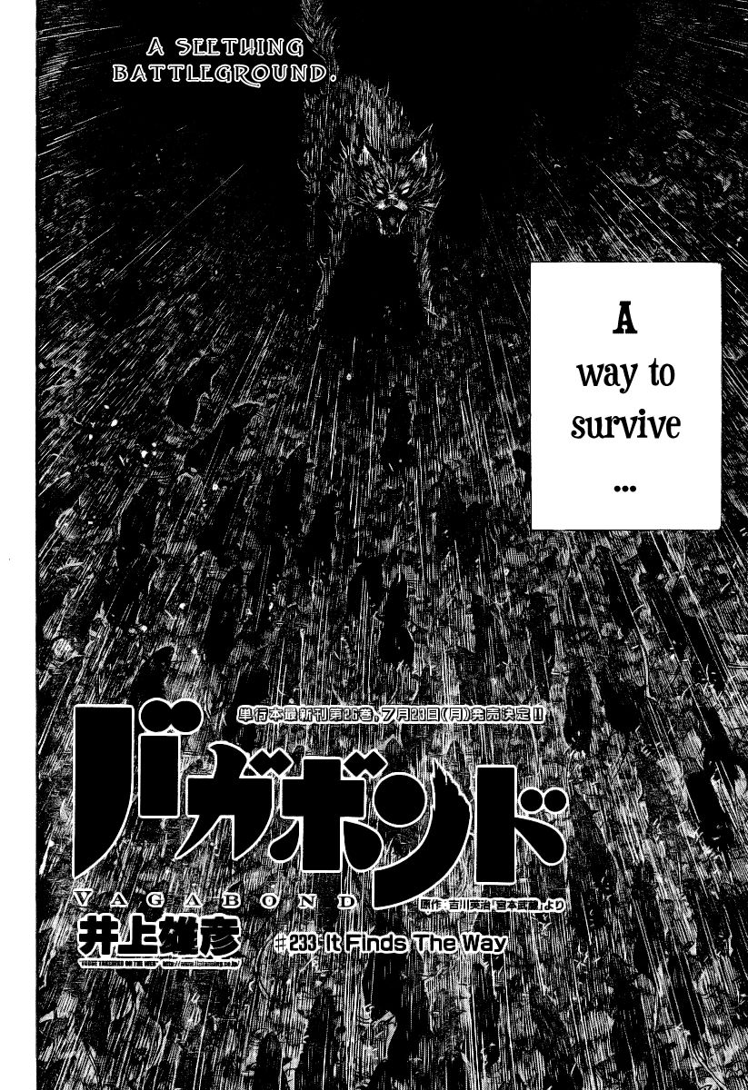 Vagabond chapter 233 page 3