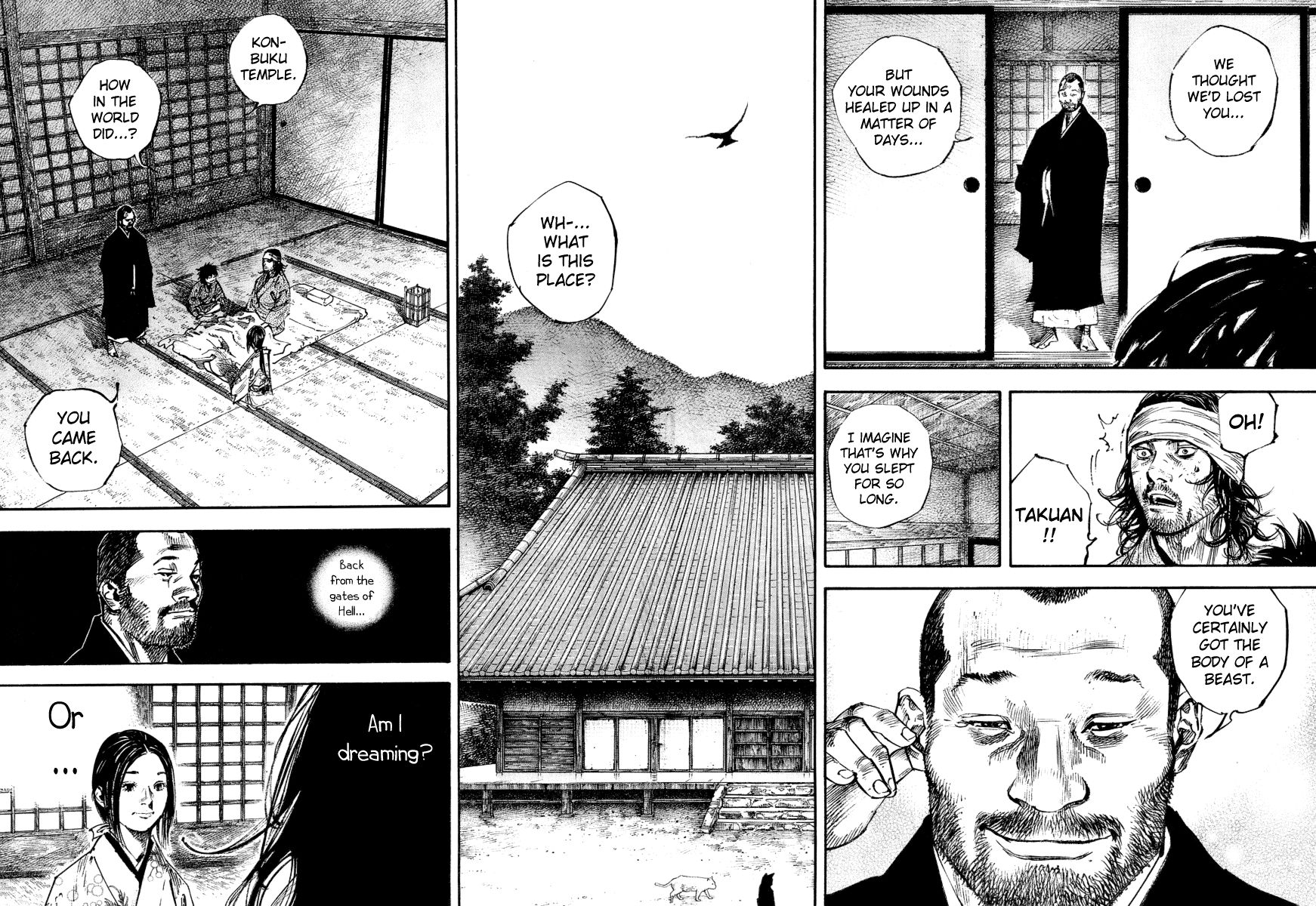 Vagabond chapter 244 page 9