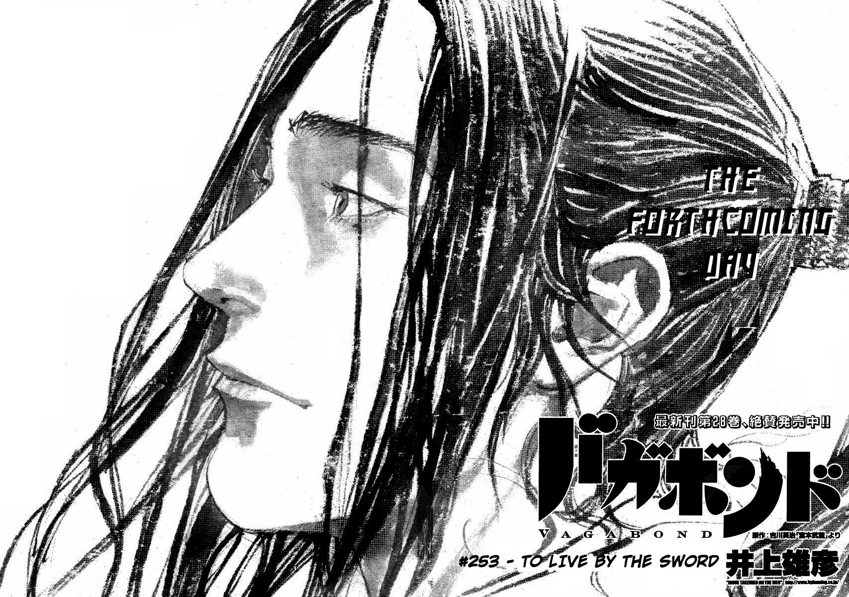 Vagabond chapter 253 page 3