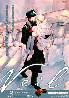 Cover of Veil