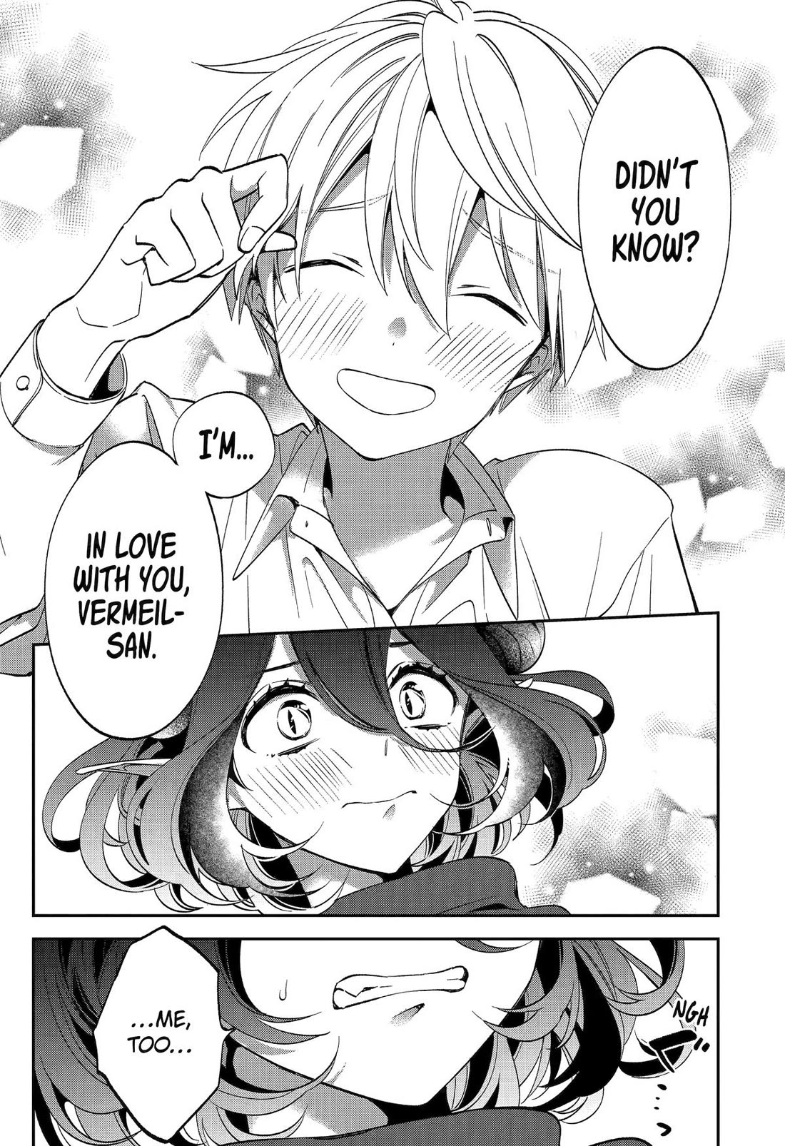 Vermeil in Gold - A Magician Pushes Through the Magical World With the Strongest Disaster chapter 29 page 15