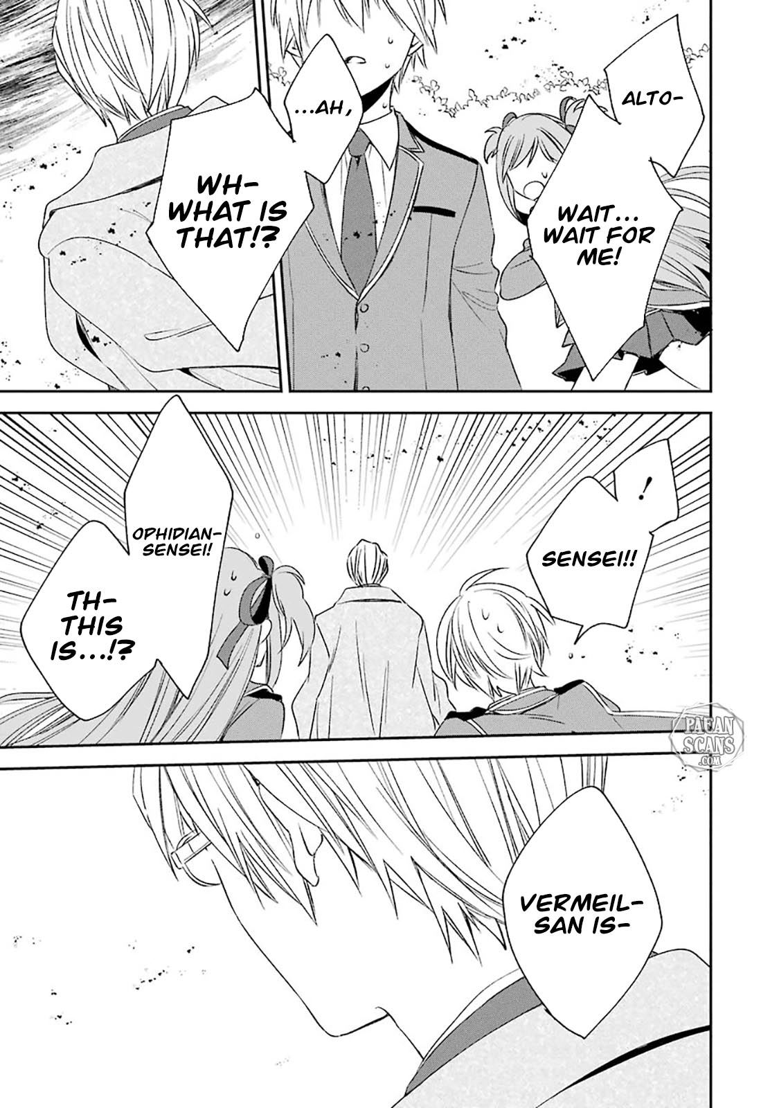 Vermeil in Gold - A Magician Pushes Through the Magical World With the Strongest Disaster chapter 8.2 page 4