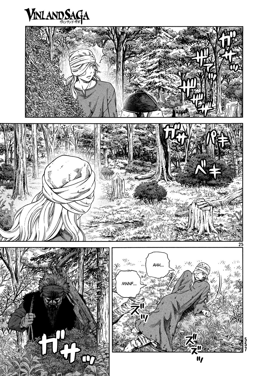 Vinland Saga chapter 119 page 25
